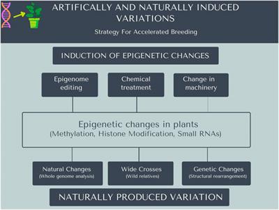 Moving Beyond DNA Sequence to Improve Plant Stress Responses